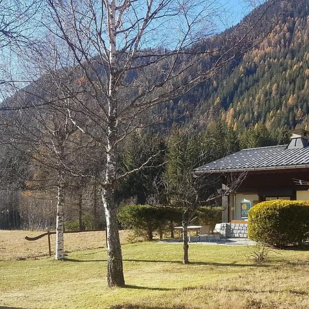 Chalet L'Ilet Ensoleille /Sunny Island Chalet Chamonix Eksteriør bilde