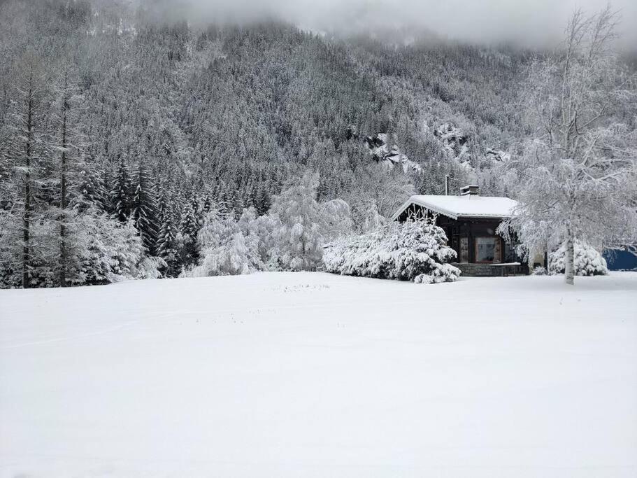Chalet L'Ilet Ensoleille /Sunny Island Chalet Chamonix Eksteriør bilde